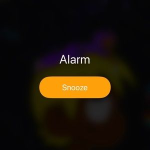 Meet your Posher, Bobby